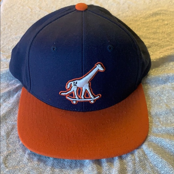 lrg snapback